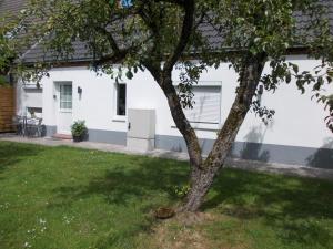 Zahrada ubytování Ferienwohnung Krümel