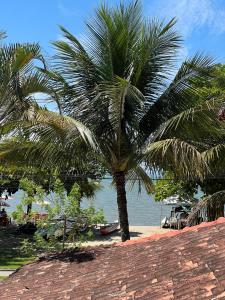 a couple of palm trees on a beach at Casa Sal in Paraty