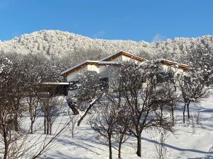 una casa cubierta de nieve frente a los árboles en Agropensiunea La Gradina en Baia-Sprie