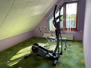 a gym with a treadmill in a room at Ada Vendégház in Öskü