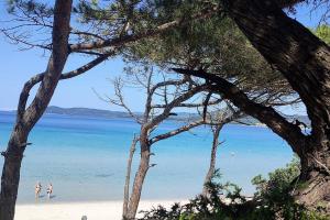 アルゲーロにあるcasa vacanze Gente di mareの水泳する人々のいる海岸