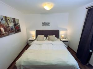 een slaapkamer met een groot bed met 2 nachtkastjes bij Apartment Igel im Herzen von Braunlage in Braunlage