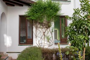 Vonkajšia záhrada v ubytovaní Patio de la Hoguera