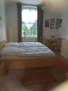 a bedroom with a large bed with a window at Ferienwohnung Sonnenblick in Burkhardtsdorf