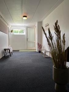 een hal met een deur en een plant in een vaas bij 120 kvm lejlighed med have i kælderniveau in Tølløse