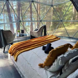 a bedroom with a bed in a glass dome at Skywoods.glamping in Molėtai