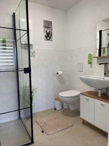 ein Bad mit einem WC und einem Waschbecken in der Unterkunft Apartment Mirabelle 4 in Püttlingen