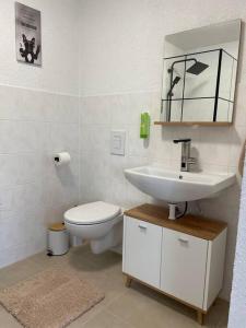 a bathroom with a sink and a toilet and a mirror at Apartment Mirabelle 4 in Püttlingen +13 photos