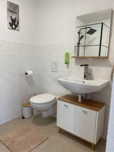 ein Badezimmer mit einem Waschbecken, einem WC und einem Spiegel in der Unterkunft Apartment Mirabelle 4 in Püttlingen