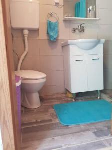 uma pequena casa de banho com WC e lavatório em Holiday home above the Bukumirsko Lake em Podgorica
