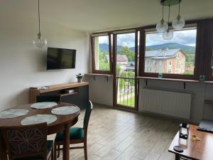 TV a/nebo společenská místnost v ubytování Apartamenty Stronie Śląskie