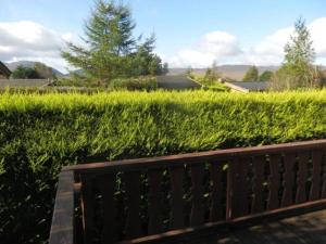 a wooden bench sitting in front of a hedge at Cabin in Trawsfynydd