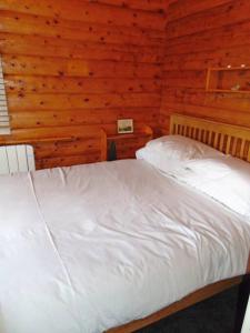 a bedroom with a white bed in a cabin at Cabin in Trawsfynydd