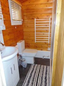 a bathroom with a white toilet and a sink at Cabin in Trawsfynydd
