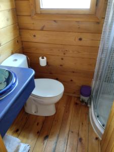 a small bathroom with a toilet and a shower at Casa La Colina Mandarina II Casa de madera in Tahal