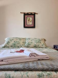 uma cama com um cobertor e uma foto na parede em Odara, Pouso e Acolhimento em Pirenópolis
