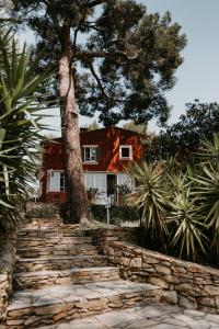 un sentiero in pietra che conduce a una casa con un albero di Le Cigalon a Le Beausset