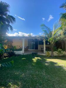 a house with a palm tree in the yard at FOLIO PARADIS in Saint-Pierre