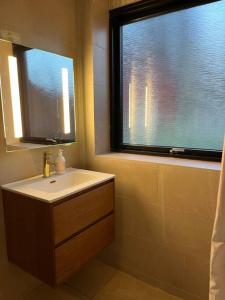een badkamer met een wastafel en een raam bij Cosy place with adoring sunny terrace in Vejby