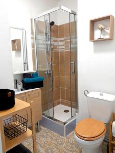 a bathroom with a shower with a toilet and a sink at Studio plage, vue mer et dragon, garage pour moto in Calais