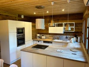 a kitchen with white appliances and wooden walls at Le cerf majestueux, Bolquere in Bolquere Pyrenees 2000