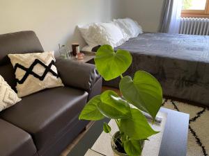 Postel nebo postele na pokoji v ubytování Chambre privée vue sur le jardin proche centre ville