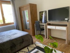 TV a/nebo společenská místnost v ubytování Chambre privée vue sur le jardin proche centre ville