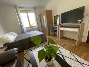 TV a/nebo společenská místnost v ubytování Chambre privée vue sur le jardin proche centre ville