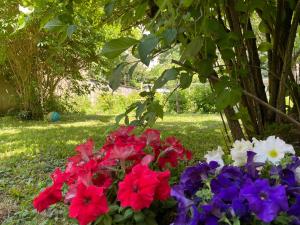 Zahrada ubytování Chambre privée vue sur le jardin proche centre ville