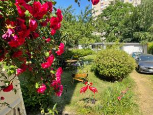Zahrada ubytování Chambre privée vue sur le jardin proche centre ville