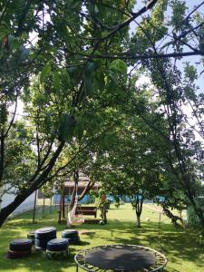 Casa Andrei A في كوربو: حديقة بها ترامبولين وبعض الأشجار