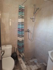 uma casa de banho com um chuveiro, um WC e uma cortina de chuveiro. em Casa Andrei A em Corbu