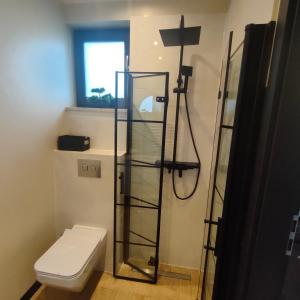 a bathroom with a toilet and a glass shower stall at Przystań Nad Miążką in Sapowice