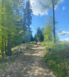 Loodusmaastik apartemendi lähedal