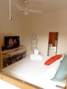 1 dormitorio con cama y vestidor con TV en RUIDERA HOLIDAY, en Ruidera