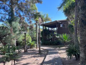 a house in the middle of a forest with palm trees at Pousada Meia Lua in Praia do Rosa