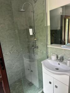 ein Bad mit einer Dusche und einem Waschbecken in der Unterkunft Casa Niculitel langa Bazilica in Niculiţel