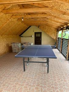 eine Tischtennisplatte in der Mitte eines Zimmers in der Unterkunft Casa Niculitel langa Bazilica in Niculiţel
