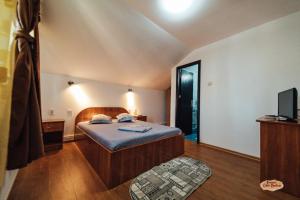 a bedroom with a bed and a television in it at Casa Badea in Murighiol