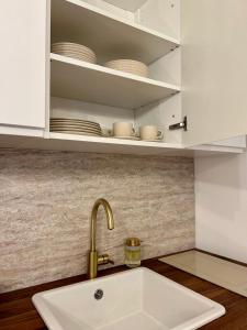 a kitchen with a sink and a shelf with dishes at CASTLE HILL apt in Old Town of Bratislava with free parking in Bratislava