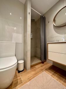 a bathroom with a toilet and a sink and a shower at CASTLE HILL apt in Old Town of Bratislava with free parking in Bratislava