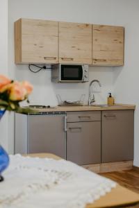a small kitchen with a sink and a microwave at Schloss-Appartements in Eisenstadt