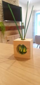 eine grüne Pflanze in einer Holzkiste auf einem Tisch in der Unterkunft Maison de rue: Auch in Auch