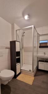 uma casa de banho com um chuveiro, um WC e um lavatório. em Ferienzimmer in der Altstadt em Wangen im Allgäu