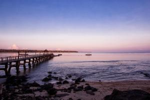 a group of birds sitting on the beach near a pier at The Oberoi Beach Resort, Lombok in Tanjung