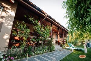 a house with plants on the side of it at Casa Badea in Murighiol
