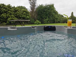 a pool of water with a drink in it at Tamahere Lifestyle in Tamahere