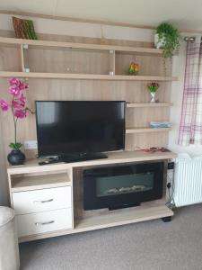 a entertainment center with a flat screen tv and a fireplace at The Nook, White Horse, Selsey in Selsey