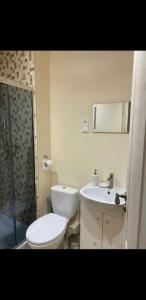 un bagno con wc, lavandino e doccia di Lauku street private apartment a Liepāja