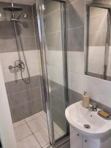 a bathroom with a shower and a sink at U Miśków in Pobierowo